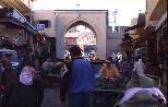 Bildtan079