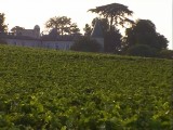 Chateau Lafite Rothschild